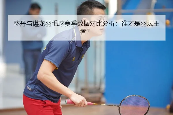 林丹与谌龙羽毛球赛季数据对比分析：谁才是羽坛王者？
